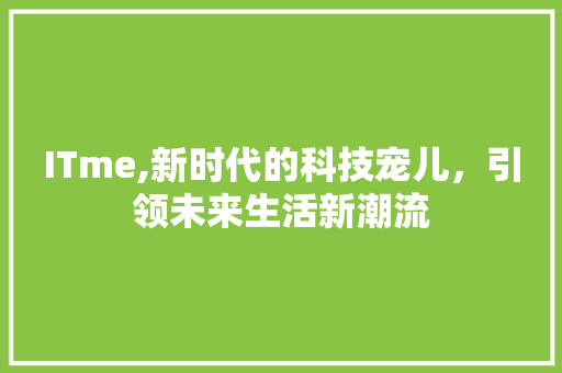 ITme,新时代的科技宠儿，引领未来生活新潮流