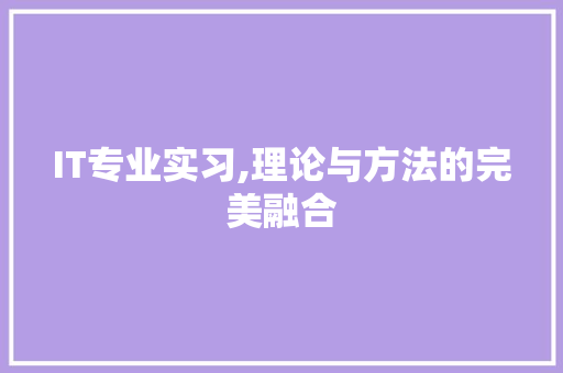 IT专业实习,理论与方法的完美融合