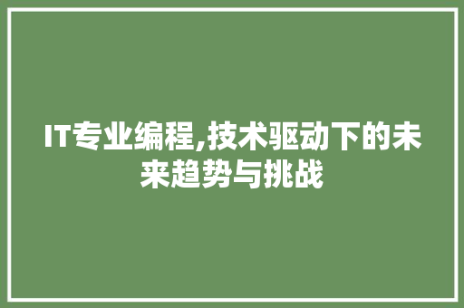 IT专业编程,技术驱动下的未来趋势与挑战