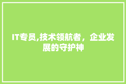 IT专员,技术领航者，企业发展的守护神