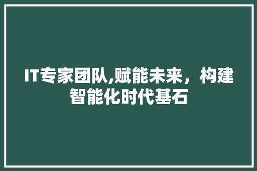 IT专家团队,赋能未来，构建智能化时代基石