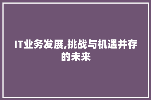 IT业务发展,挑战与机遇并存的未来