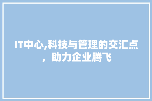IT中心,科技与管理的交汇点，助力企业腾飞