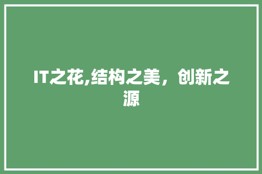 IT之花,结构之美，创新之源