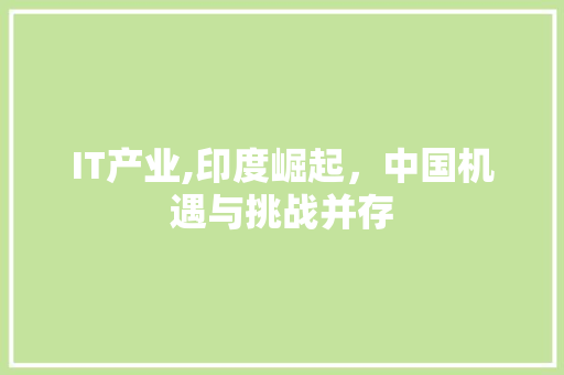 IT产业,印度崛起，中国机遇与挑战并存