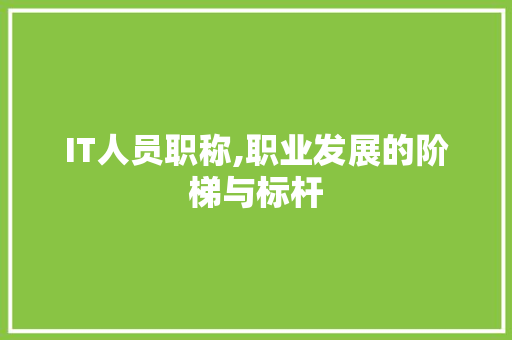 IT人员职称,职业发展的阶梯与标杆