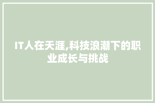 IT人在天涯,科技浪潮下的职业成长与挑战