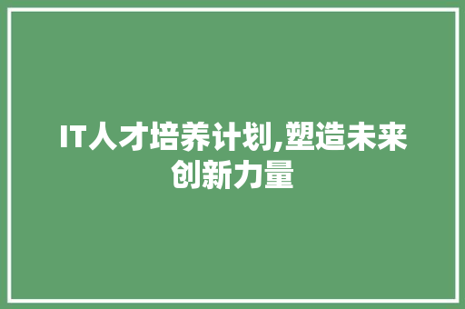 IT人才培养计划,塑造未来创新力量