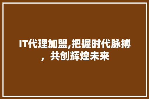 IT代理加盟,把握时代脉搏，共创辉煌未来