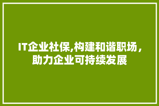 IT企业社保,构建和谐职场，助力企业可持续发展