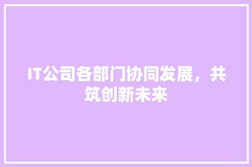 IT公司各部门协同发展，共筑创新未来 搜狗优化