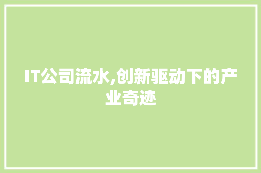 IT公司流水,创新驱动下的产业奇迹