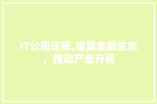 IT公司还账,重塑金融生态，推动产业升级