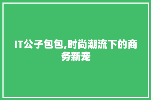 IT公子包包,时尚潮流下的商务新宠