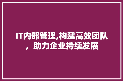 IT内部管理,构建高效团队，助力企业持续发展