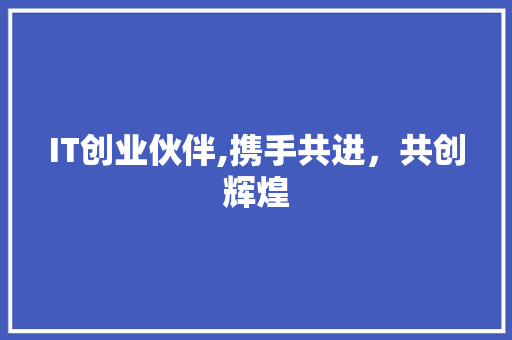 IT创业伙伴,携手共进，共创辉煌 网站优化