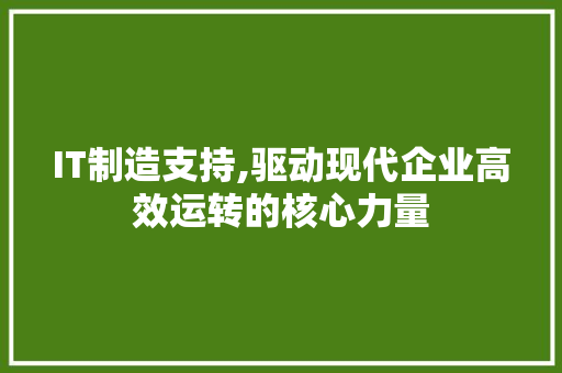 IT制造支持,驱动现代企业高效运转的核心力量