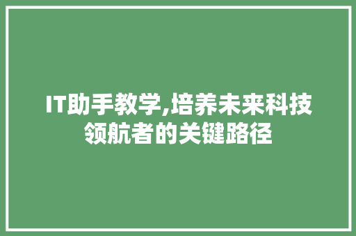 IT助手教学,培养未来科技领航者的关键路径 搜狗优化