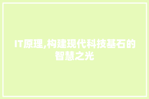 IT原理,构建现代科技基石的智慧之光