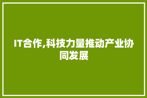 IT合作,科技力量推动产业协同发展