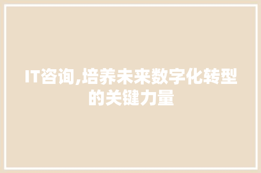 IT咨询,培养未来数字化转型的关键力量 英文谷歌算法