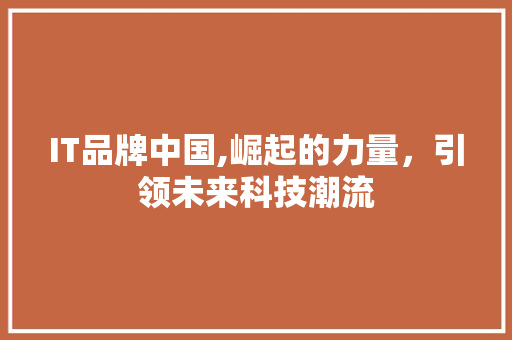 IT品牌中国,崛起的力量，引领未来科技潮流