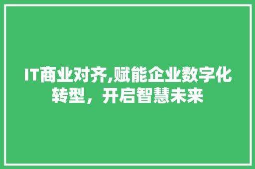 IT商业对齐,赋能企业数字化转型，开启智慧未来