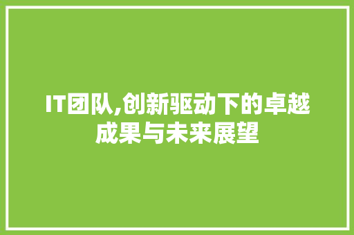 IT团队,创新驱动下的卓越成果与未来展望