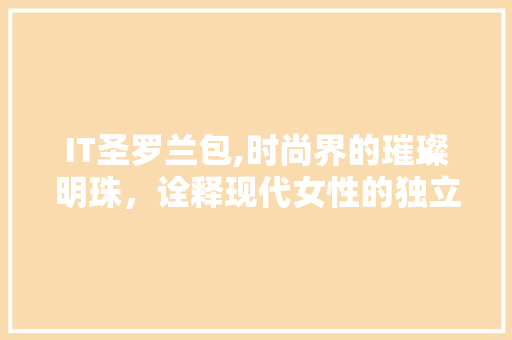IT圣罗兰包,时尚界的璀璨明珠，诠释现代女性的独立魅力