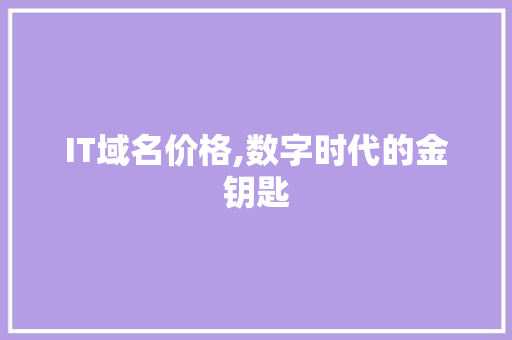 IT域名价格,数字时代的金钥匙 网站开发