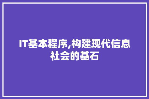 IT基本程序,构建现代信息社会的基石