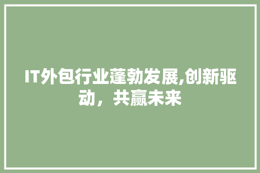 IT外包行业蓬勃发展,创新驱动，共赢未来