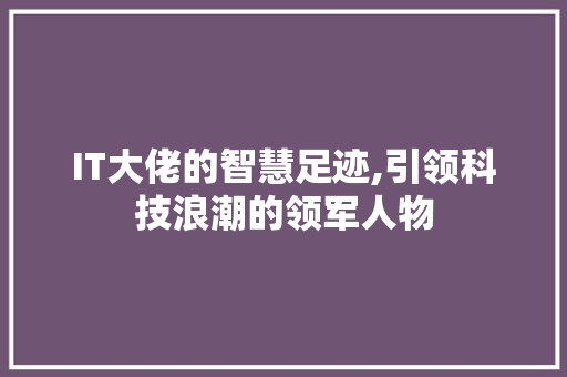 IT大佬的智慧足迹,引领科技浪潮的领军人物 网站优化