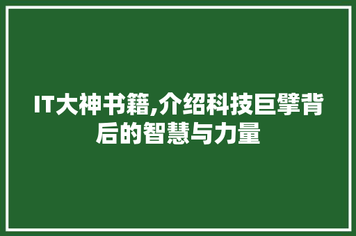 IT大神书籍,介绍科技巨擘背后的智慧与力量