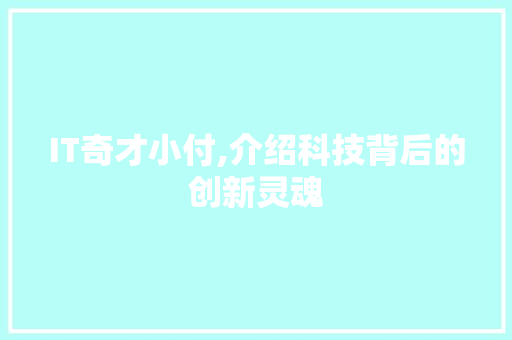 IT奇才小付,介绍科技背后的创新灵魂 英文谷歌算法