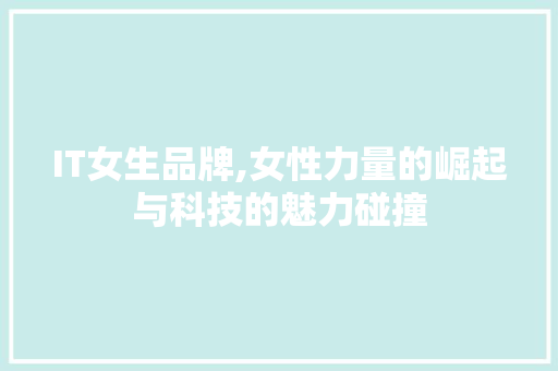 IT女生品牌,女性力量的崛起与科技的魅力碰撞