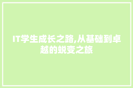 IT学生成长之路,从基础到卓越的蜕变之旅