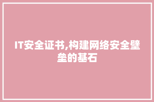 IT安全证书,构建网络安全壁垒的基石