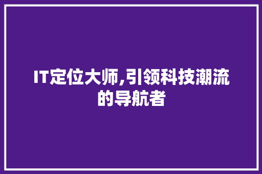 IT定位大师,引领科技潮流的导航者