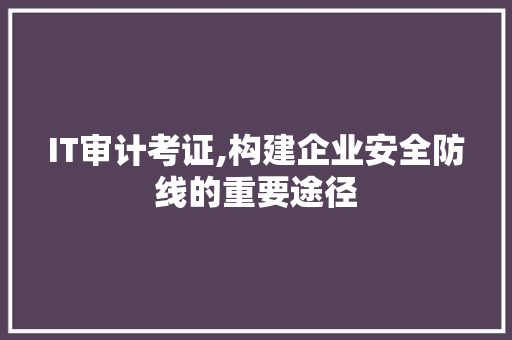 IT审计考证,构建企业安全防线的重要途径