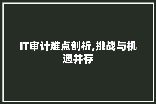 IT审计难点剖析,挑战与机遇并存