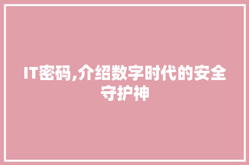 IT密码,介绍数字时代的安全守护神 网站开发