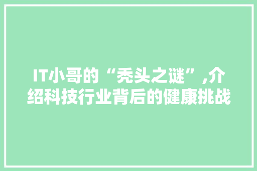 IT小哥的“秃头之谜”,介绍科技行业背后的健康挑战 网站优化