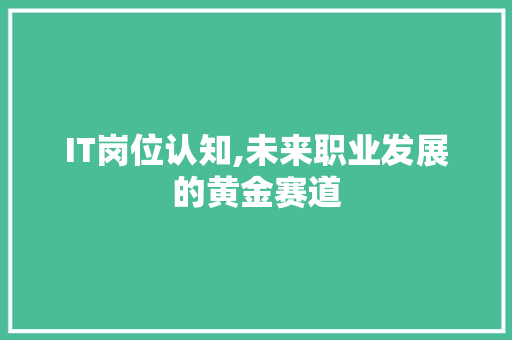 IT岗位认知,未来职业发展的黄金赛道