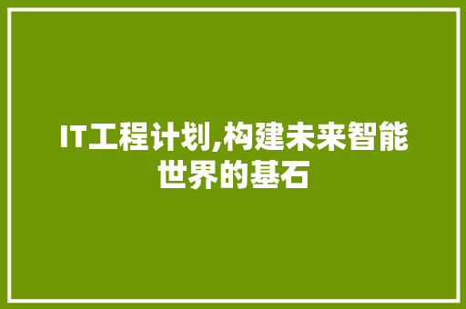 IT工程计划,构建未来智能世界的基石