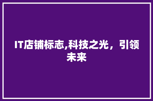 IT店铺标志,科技之光，引领未来 网站开发