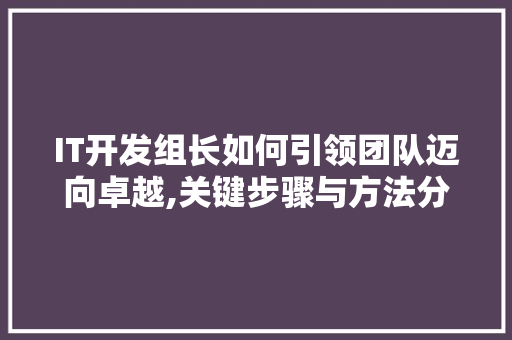 IT开发组长如何引领团队迈向卓越,关键步骤与方法分享 搜狗优化