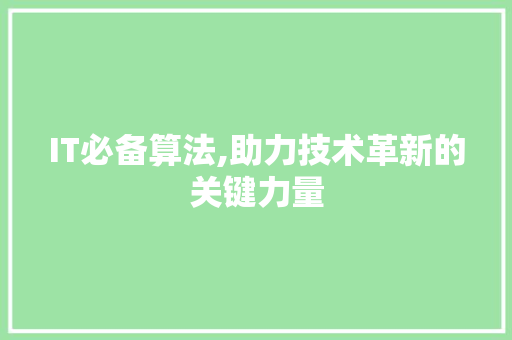 IT必备算法,助力技术革新的关键力量 小程序开发