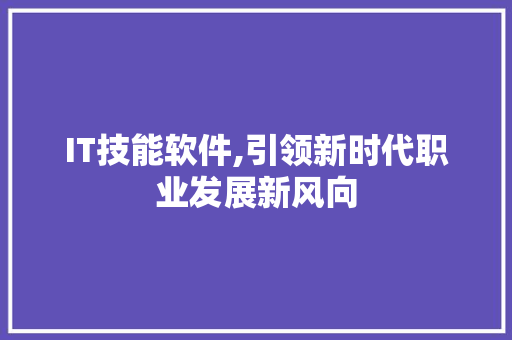 IT技能软件,引领新时代职业发展新风向 搜狗优化