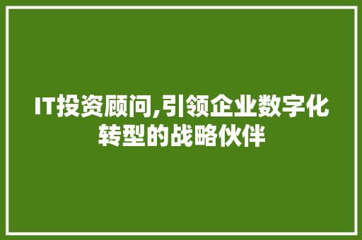 IT投资顾问,引领企业数字化转型的战略伙伴 网站开发